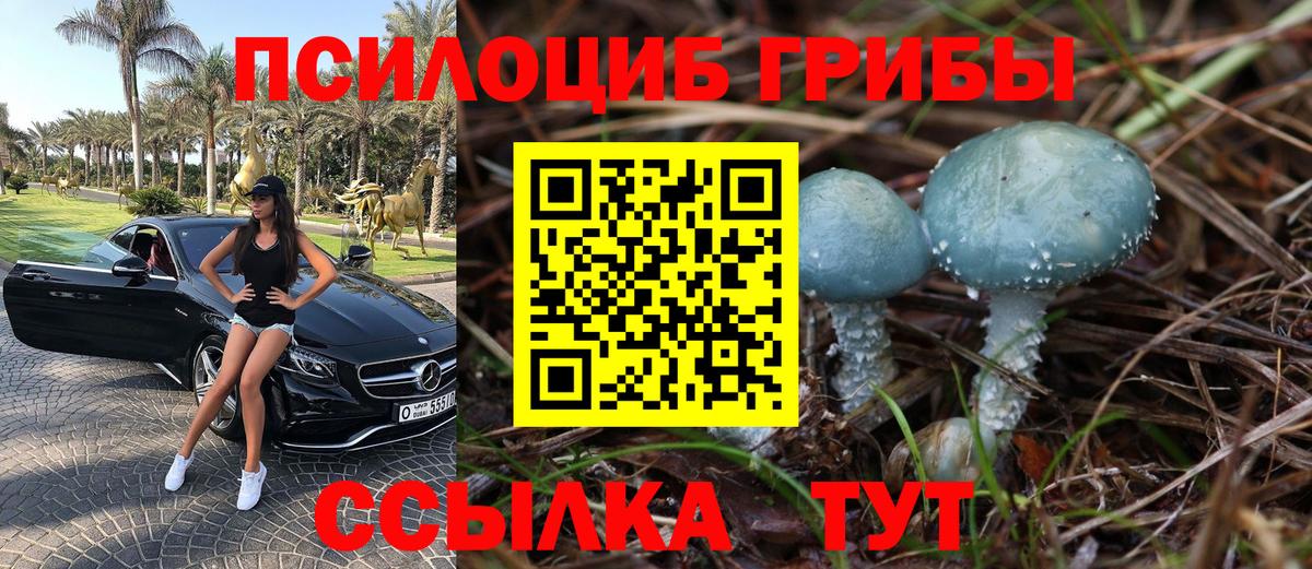 Галлюциногенные грибы Magic Shrooms  Вход с VPN  Новороссийск  Псилоцибиновые грибы MAGIC MUSHROOMS 